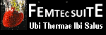 FEMTEC Suite